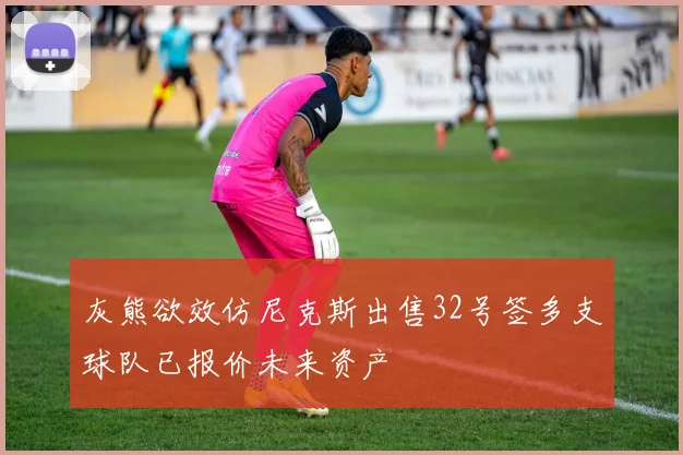 灰熊欲效仿尼克斯出售32号签多支球队已报价未来资产