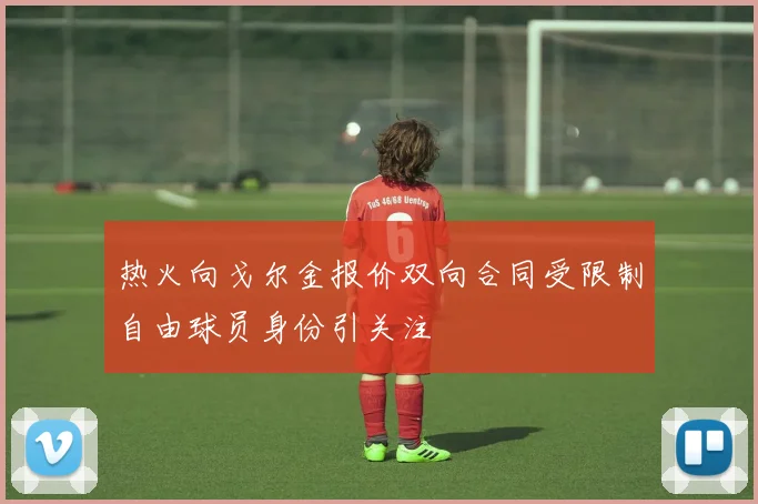 热火向戈尔金报价双向合同受限制自由球员身份引关注
